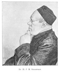 H.J.M. Schaepman